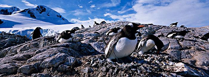 《华盛顿邮报》赞世嘉文化复兴 索尼克影响力比肩迪士尼公主