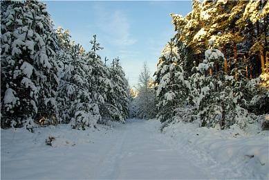《英灵殿之子》发售日预告 4月5日正式发售